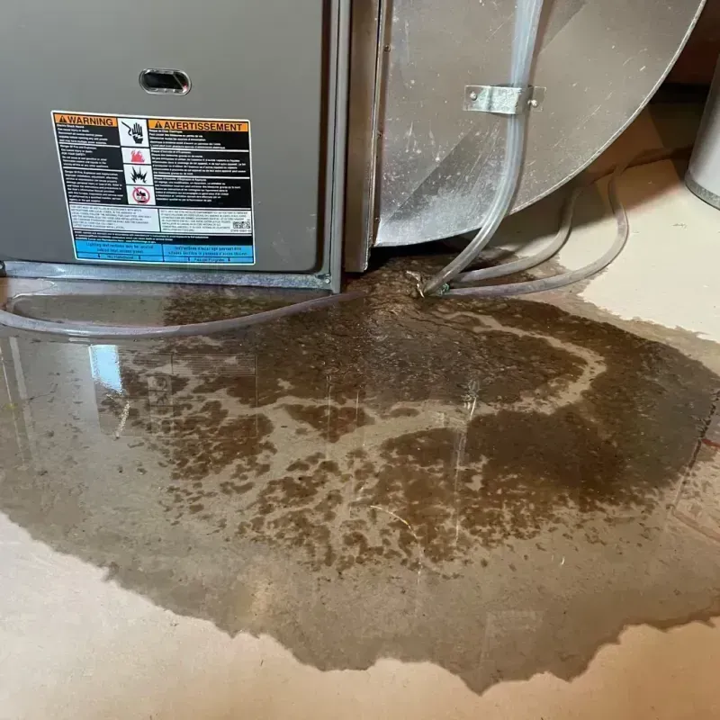 Appliance Leak Cleanup in Titusville, PA